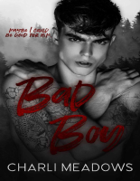 (TRAD) The Loyal Boys 02 - Bad Boy - Charli Meadows.pdf
